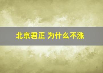 北京君正 为什么不涨